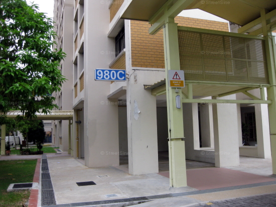 Blk 980C Buangkok Crescent (Hougang), HDB 4 Rooms #251912